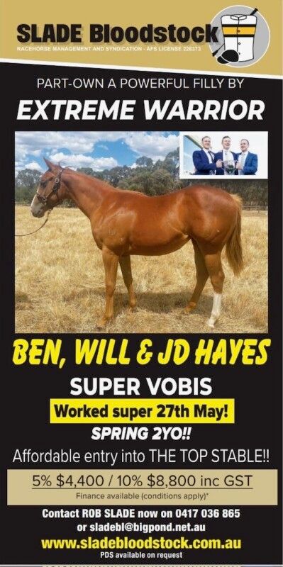 EXTREME WARRIOR X BOOGIELICIOUS FILLY