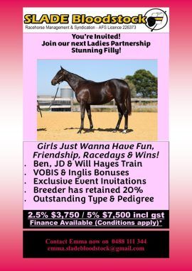 SHAMUS AWARD X PLATINUM MAM'SELLE