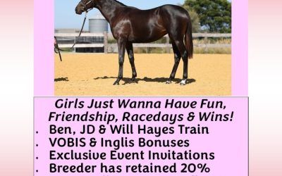You’re invited to join our next Ladies Partnership! This will be a fun group in this stunning filly!