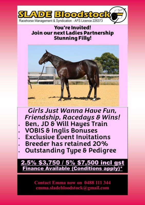 SHAMUS AWARD X PLATINUM MAM’SELLE