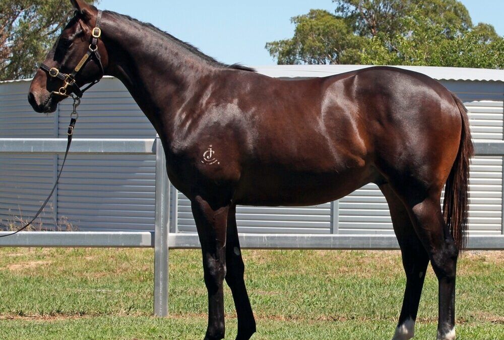 BETTER THAN READY X CULASSE COLT