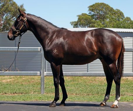 BETTER THAN READY X CULASSE COLT