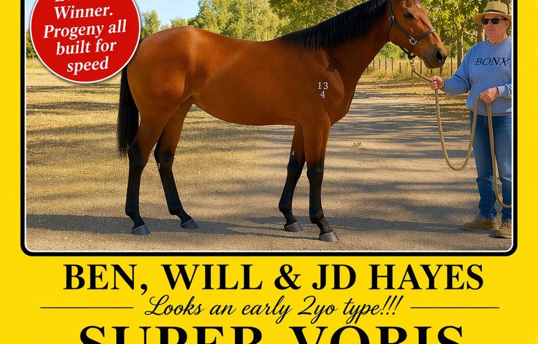 YES YES YES X CHARMING ADELINE COLT