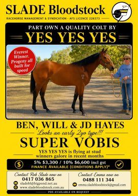 YES YES YES X CHARMING ADELINE COLT