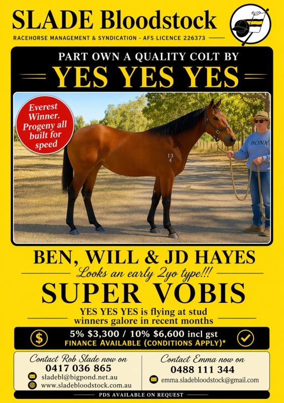 YES YES YES X CHARMING ADELINE COLT