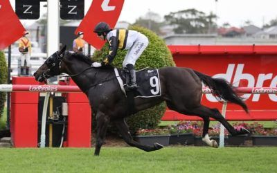 EPIC PROPORTIONS wins yet again, 8 wins in 3 different states! Now 3 wins at Doomben, he loves the place!