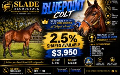 BLUE POINT: A GLOBAL SPRINTING STAR WITH AN EXCITING FUTURE AT STUD