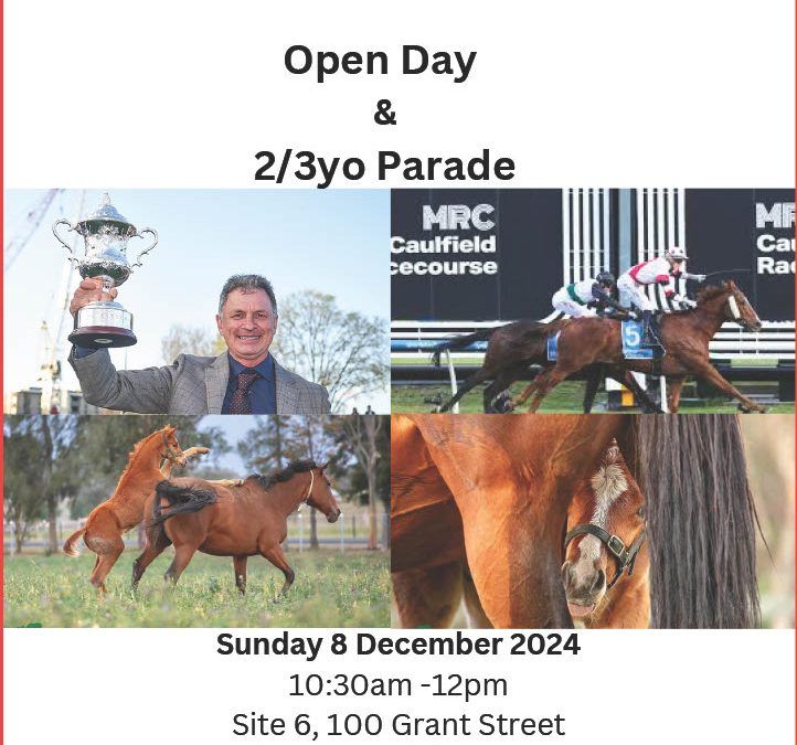 Keep the date free and join us on 8 December 2024 at our Cranbourne Stable