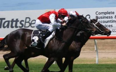 Shylie Williams trains three winners at Sunday’s Gourmet Gallops