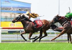 Final Zero leads all the way to win at the Sunshine Coast