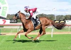 8yo Bon Rocket wins at Ipswich