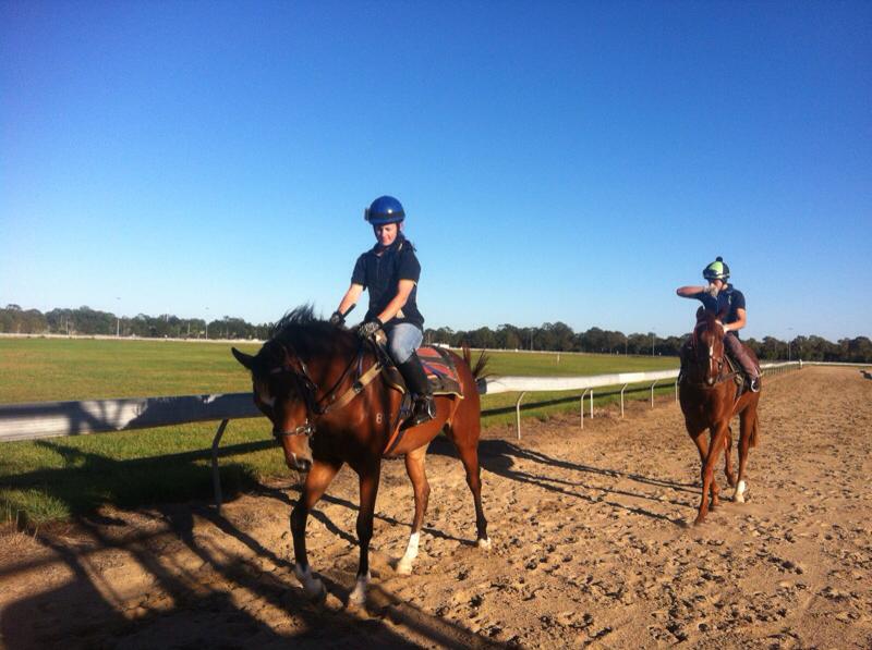 1230025_575298352533201_309479956_n