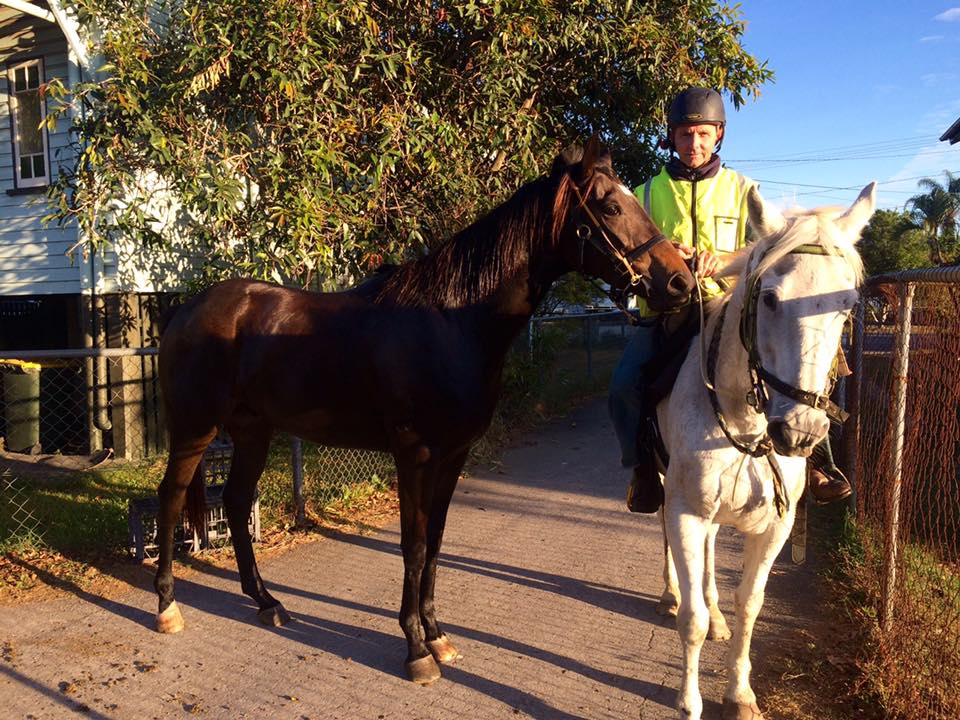 13174015_1080056565390708_215917210062342173_n