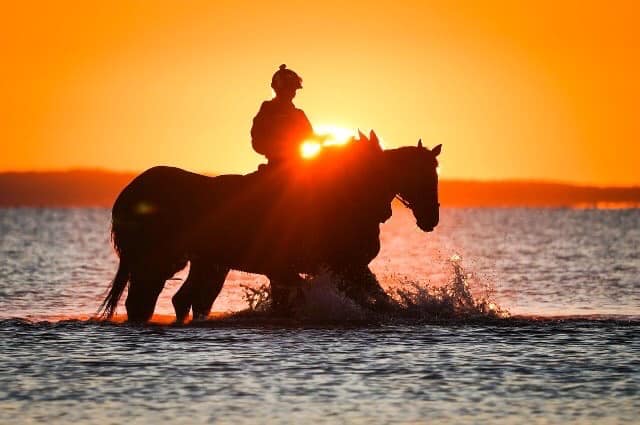 99149696_3051266151603063_8426080421426495488_n