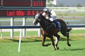 City hat trick for Lennie’s Choice at Doomben