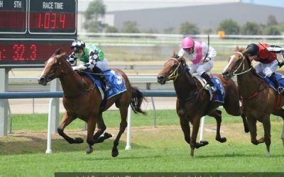 Totally Sure aims for Magic Millions Glory