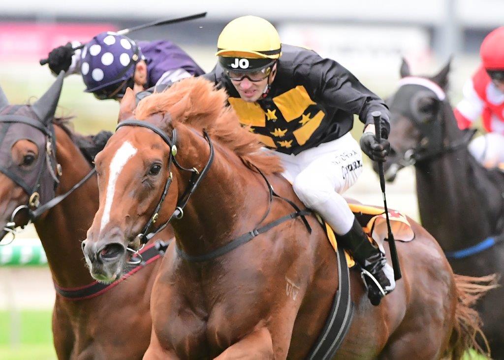 Stable News - Kelly Schweida Racing