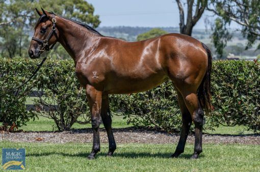Un-named (King's Legacy - Scarlet Tycoon)