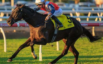 Metalart Wins Group 3 W J Healy Stakes