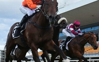 Guac On targets Summer Carnival