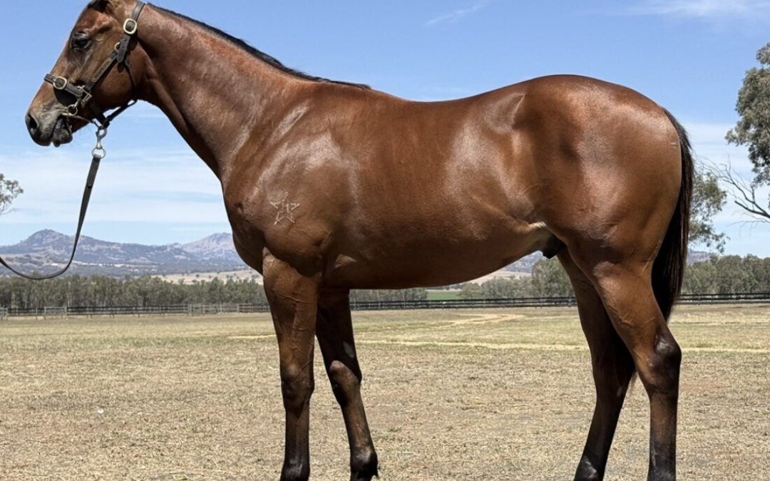 Un-named (Too Darn Hot – Didrikson)