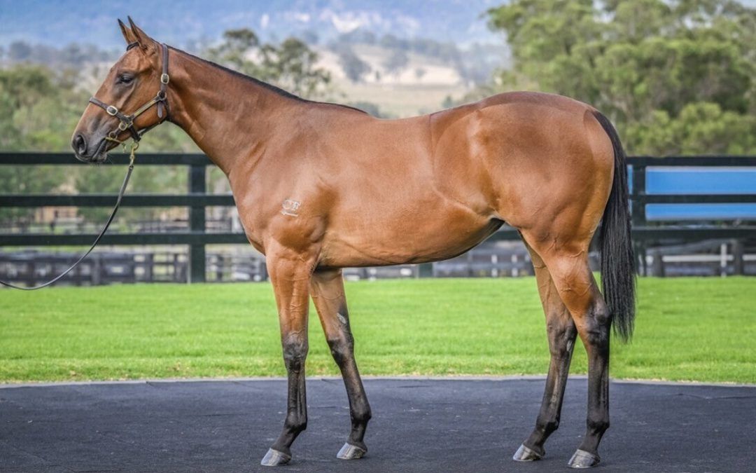 Un-named (Capitalist – Dream Of Venus)