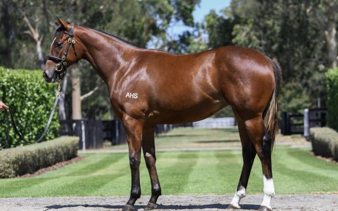 Un-named (St Mark’s Basilica – Gold Filigree)
