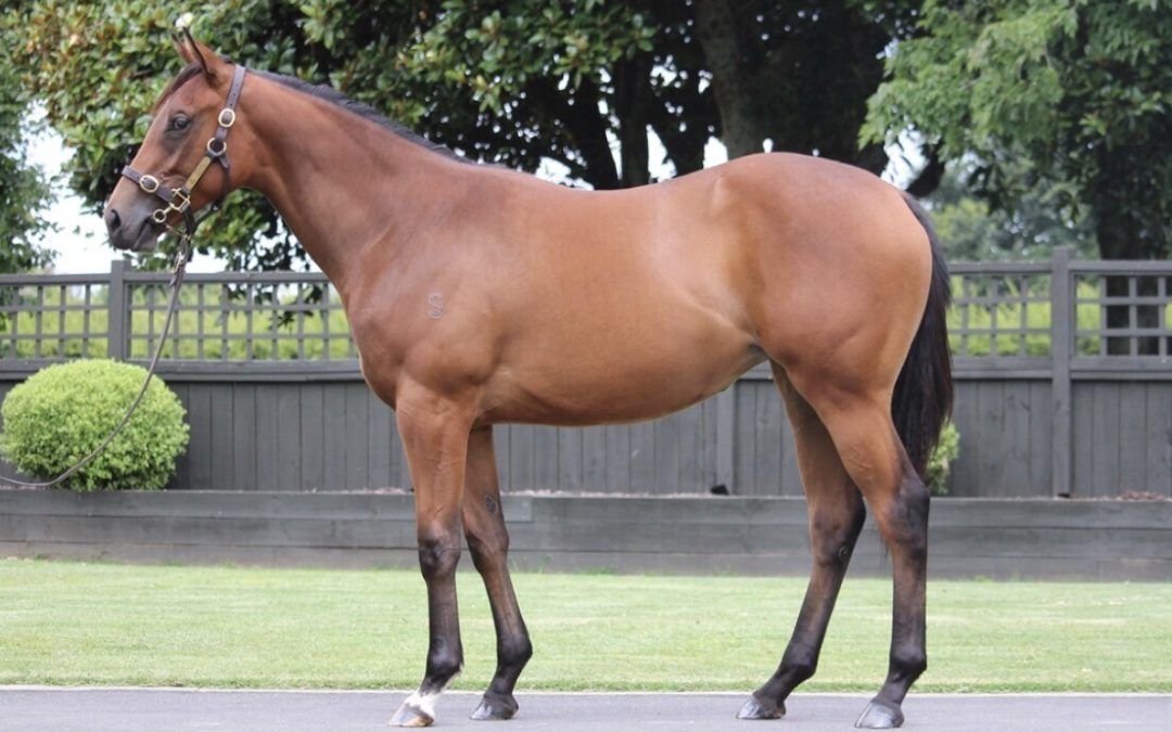 Un-named (Profondo – Miss Mayfield)