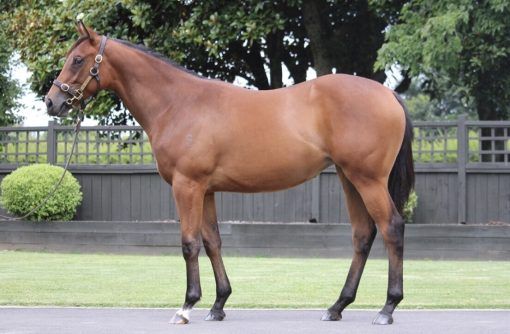 Profondo X Miss Mayfield