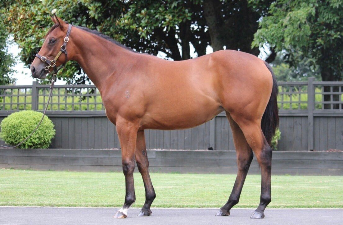 Un-named (Profondo – Miss Mayfield)