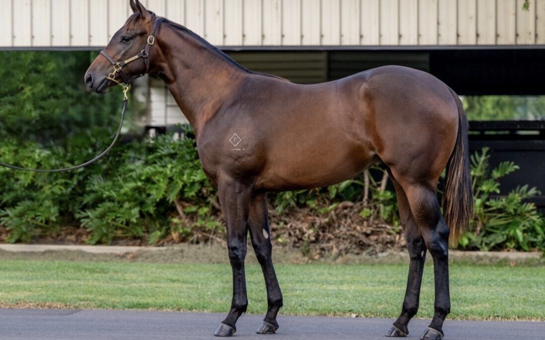 Un-named (Spirit Of Boom – O’Rachael)