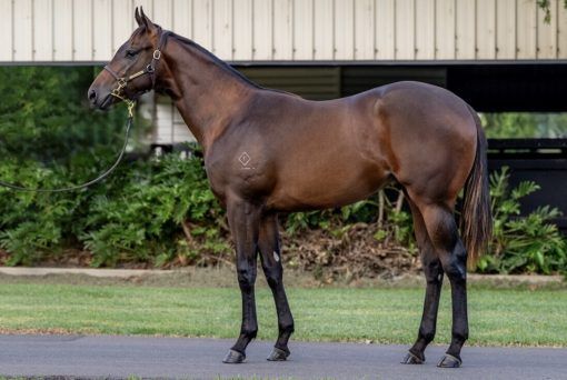 Spirit Of Boom X O'Rachael