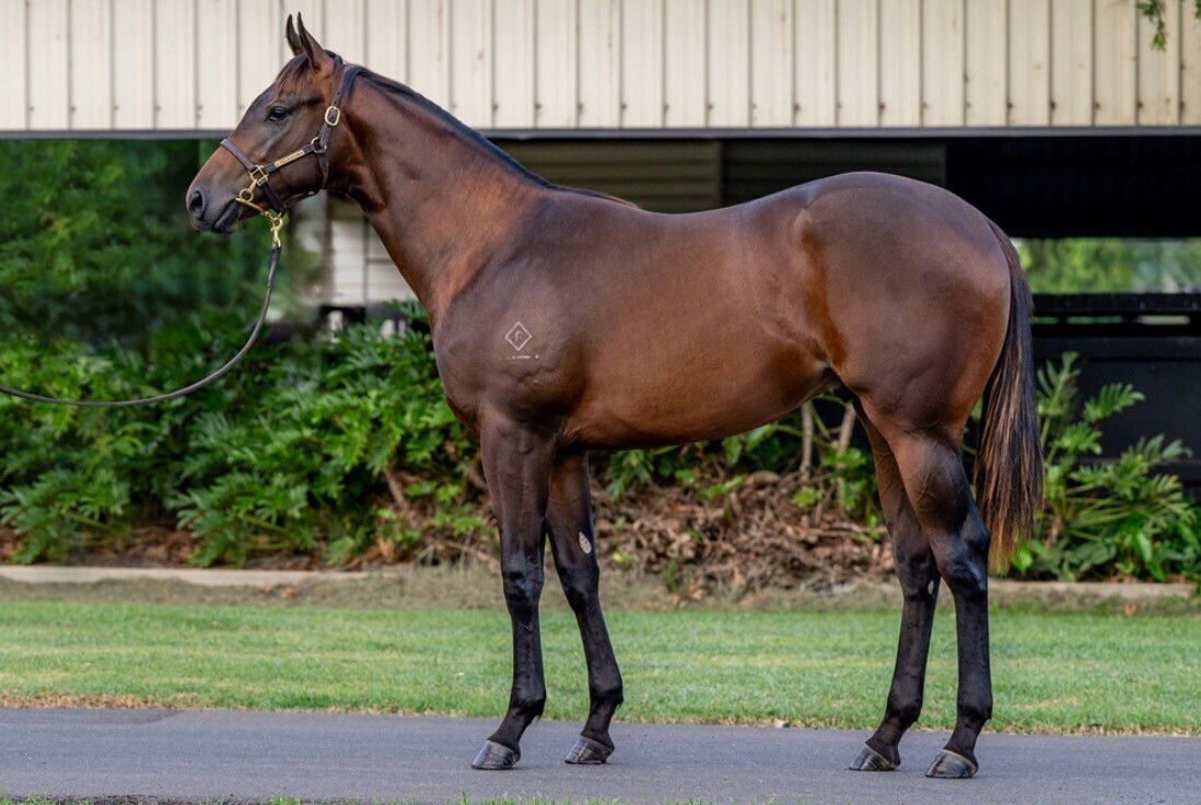 Un-named (Spirit Of Boom – O’Rachael)