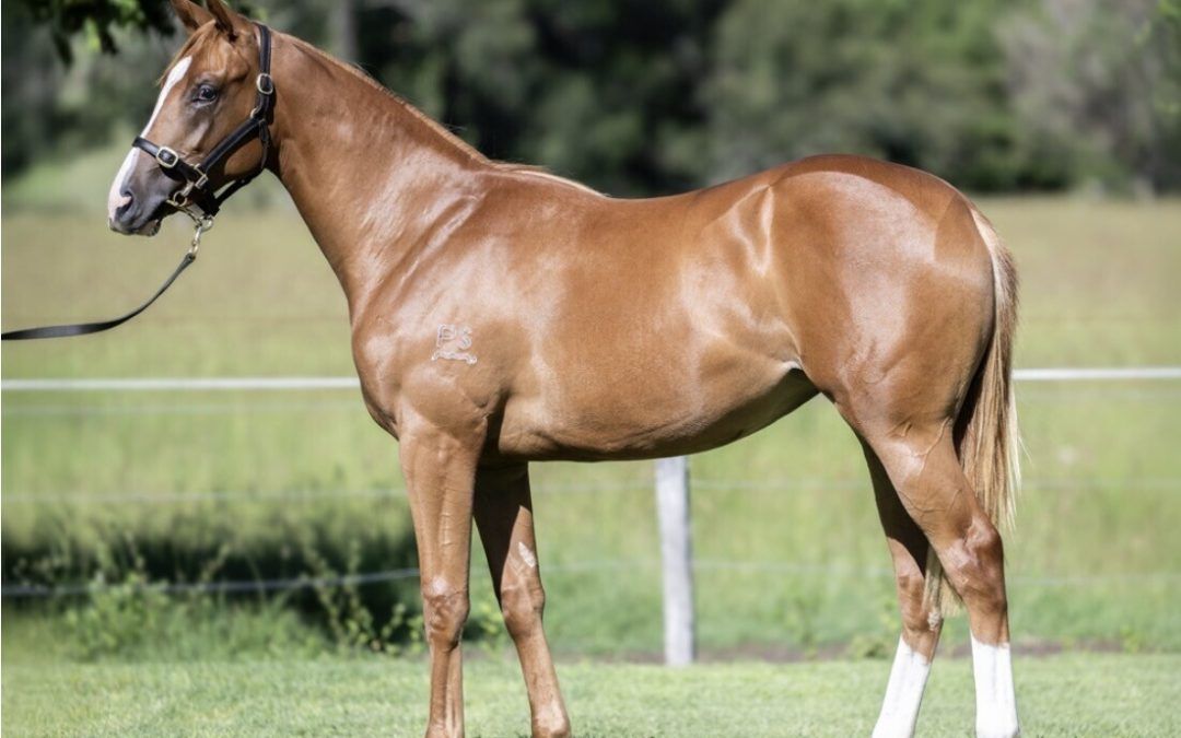 Un-named (Stronger – Divine Faith)