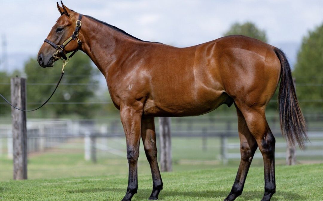 Un-named (Ole Kirk – Our Girl Sniti)