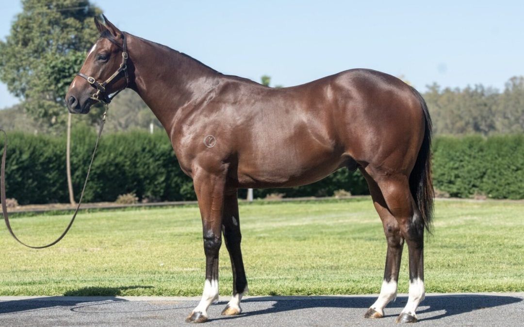 Un-named (Lucky Vega – Divine Herald)