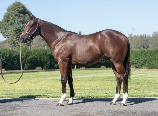 Lucky Vega X Divine Herald