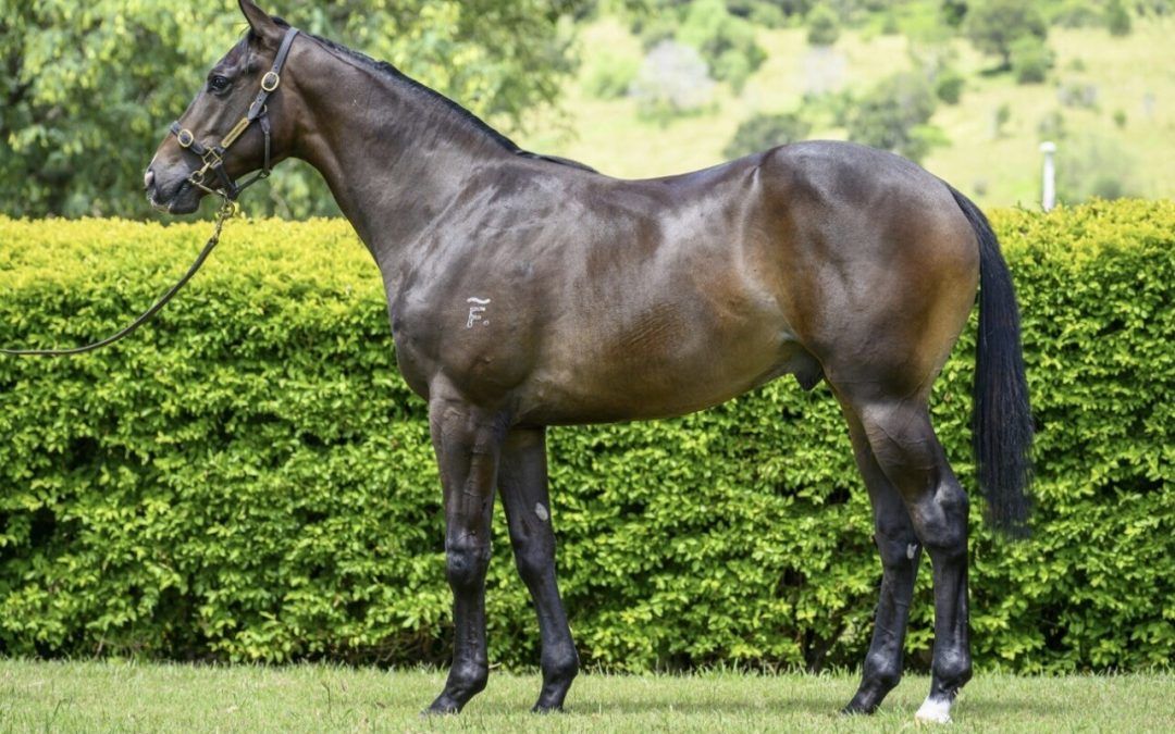 Un-named (Better Than Ready – Unofficial)