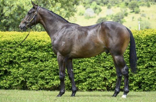 Un-named (Better Than Ready - Unofficial)