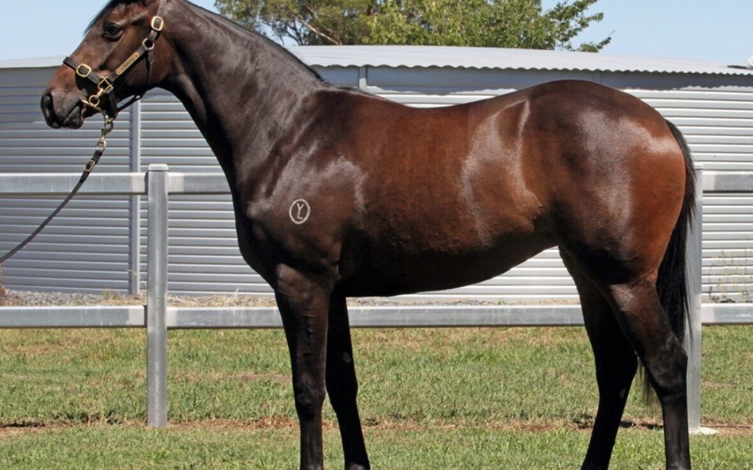 Un-named (Tagaloa – Distant Light)