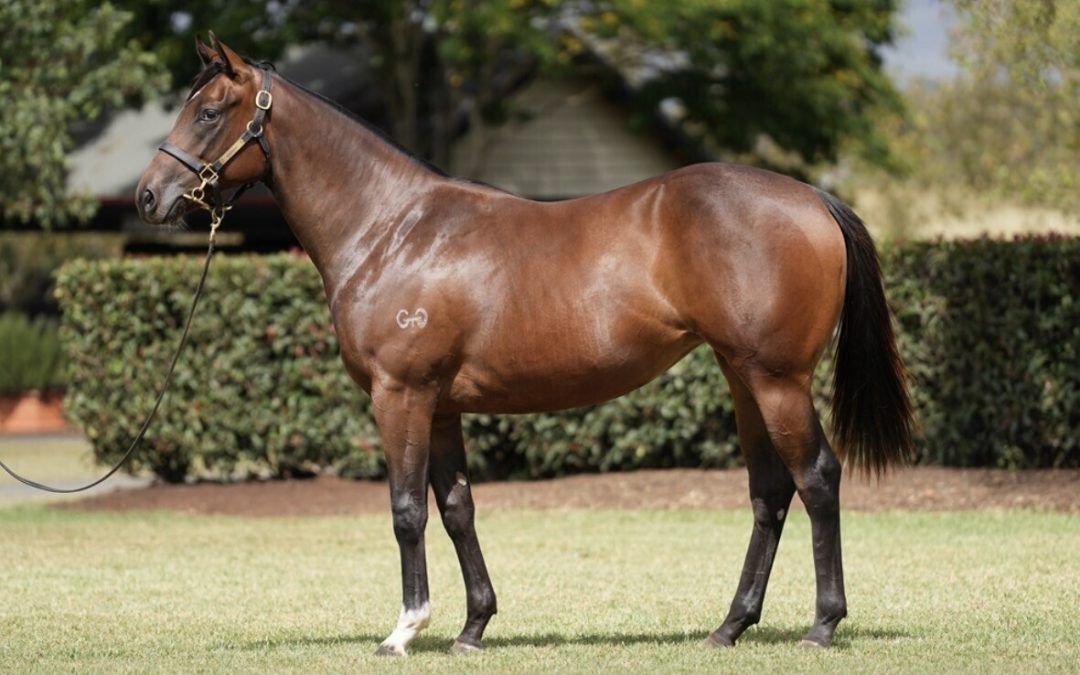 Un-named (Russian Revolution – Matildare)