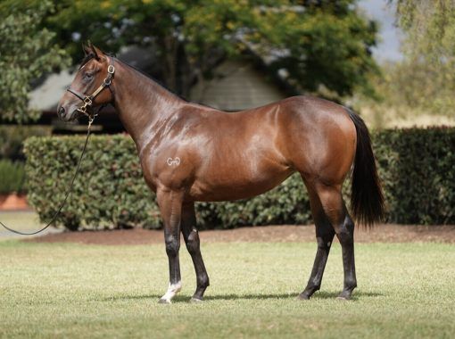 Russian Revolution X Matildare