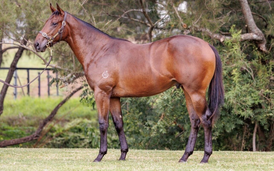 Un-named (Pinatubo – Allegretta)