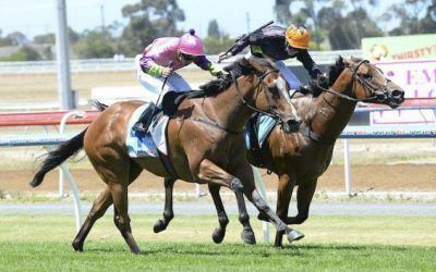 Harold Bluetooth rebounds after fly attack