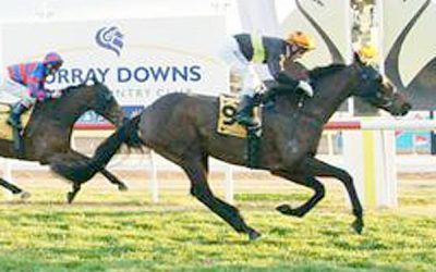 Stablemates land Swan Hill quinella