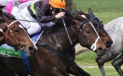 Nowhere Man pays price for maiden win