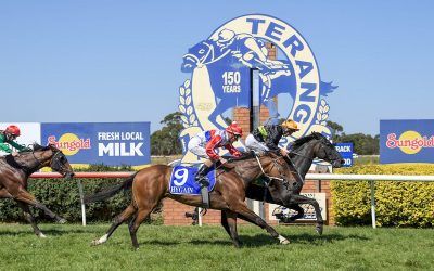 Cameo Lass delivers Terang double for stable