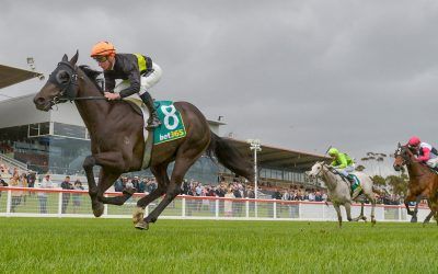 “Star” finds form with blinkers