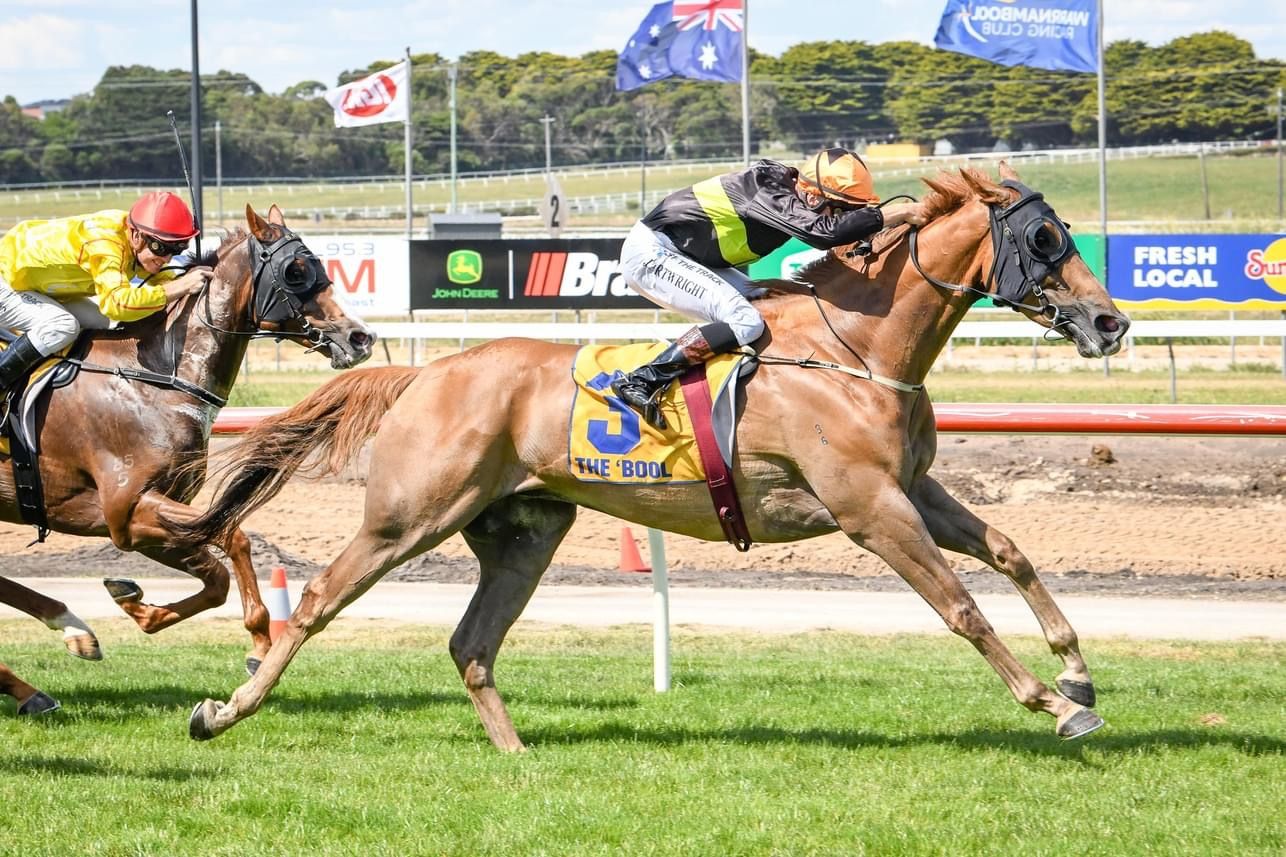 Record-breaking win for stable debutant - Malady Racing