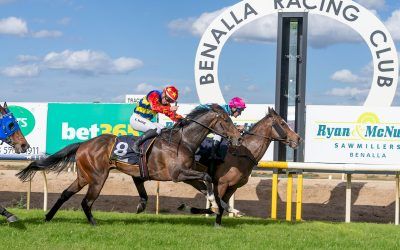 Sebastian out foxes rivals with Benalla victory